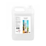 Odorizant ambiental concentrat cu aroma de fructe, Bozo Air Fresh – Frutto – 5 litri