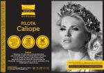 Pilota de iarna matlasata Caliope Somnart, 180×200 cm, policotton imprimat, sezon rece, 400 g/mp